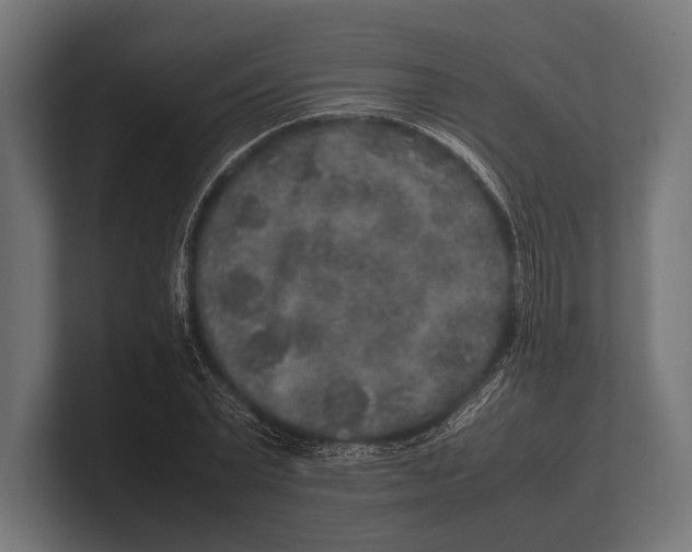 X0000100230783200806201443