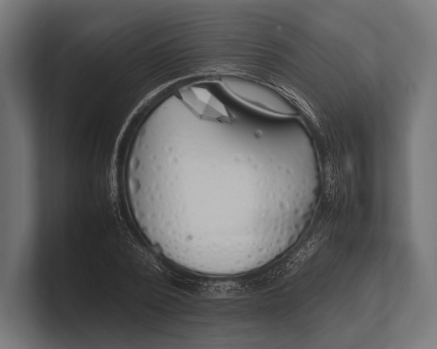 X0000100230784200806201443