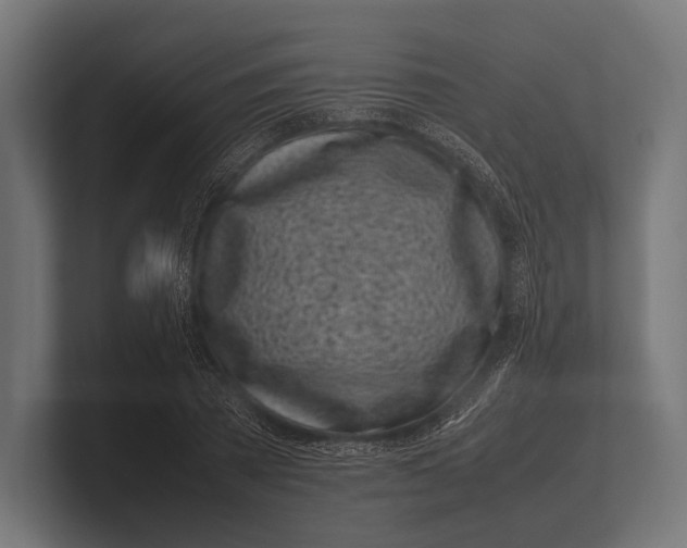 X0000100230785200806201443