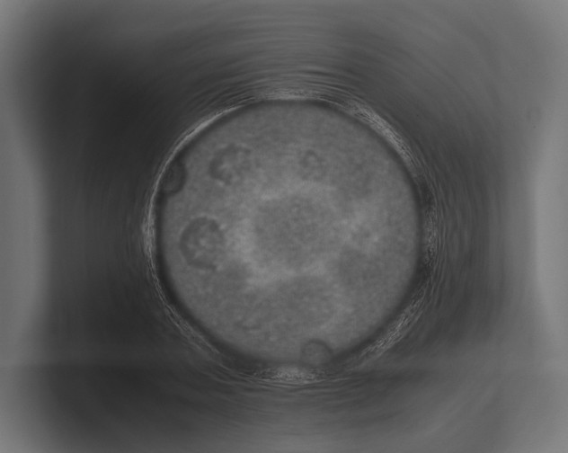 X0000100230787200806201443