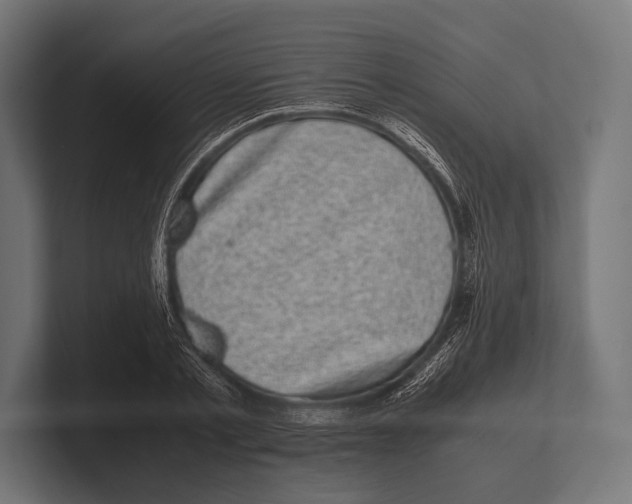 X0000100230789200806201443