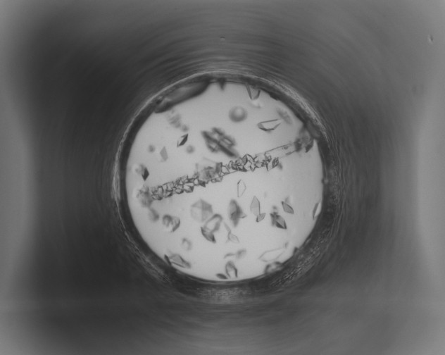 X0000100230791200806201443