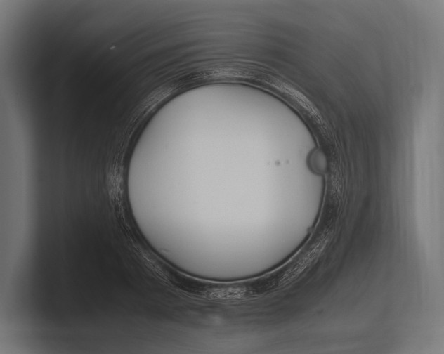 X0000100230793200806201443