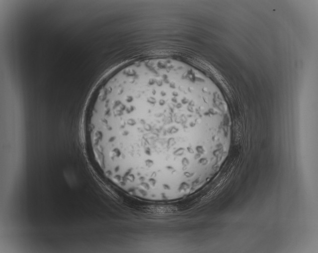 X0000100230795200806201443