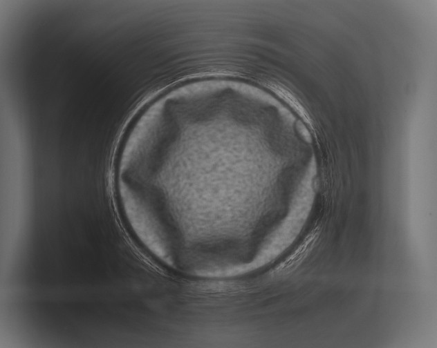 X0000100230797200806201443