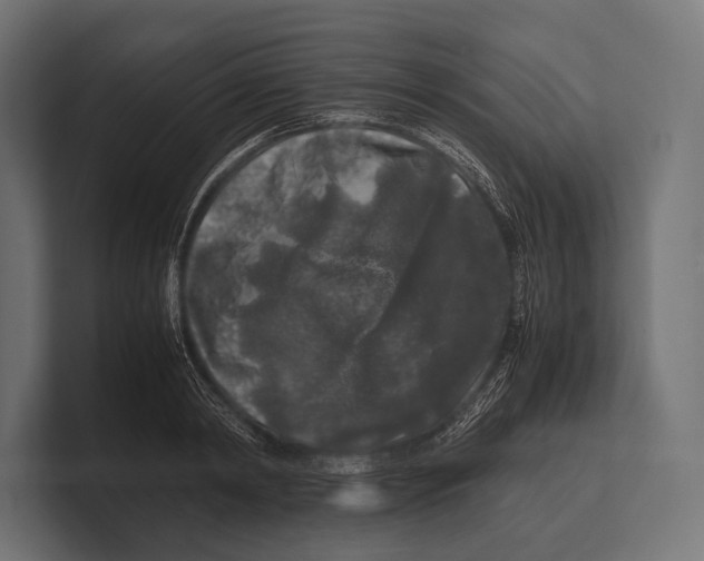 X0000100230798200806201442