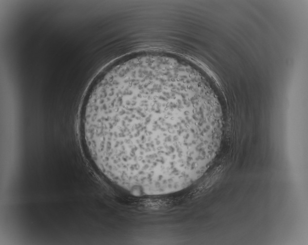 X0000100230799200806201442