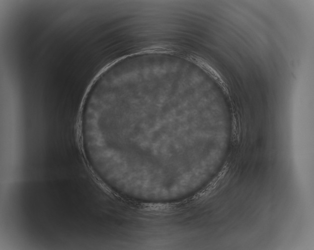 X0000100230800200806201442