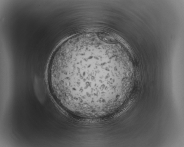 X0000100230803200806201442