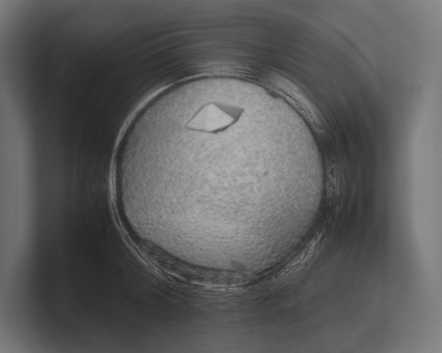 X0000100230804200806201442