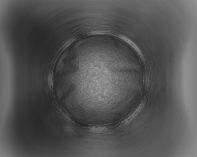 X0000100230809200806201442