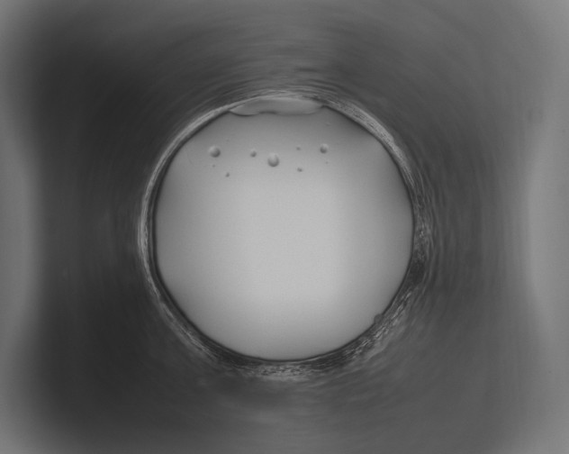 X0000100230811200806201442