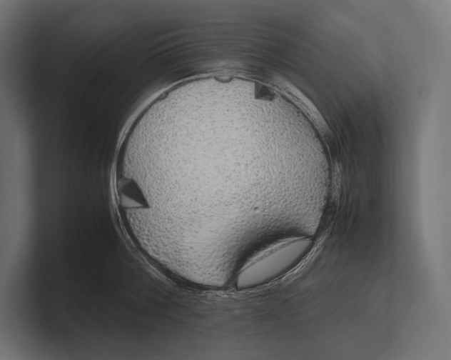 X0000100230812200806201442