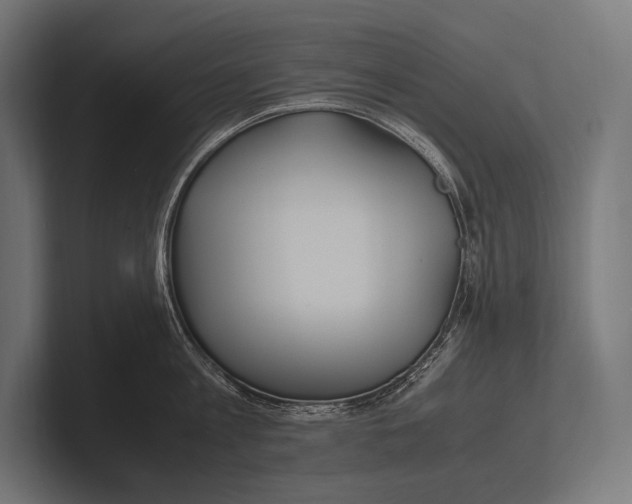 X0000100230813200806201442