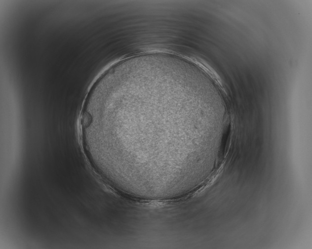 X0000100230814200806201442