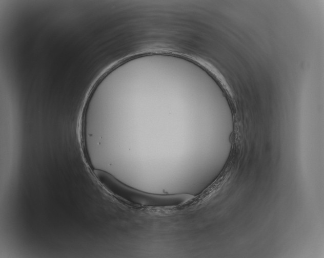 X0000100230815200806201442