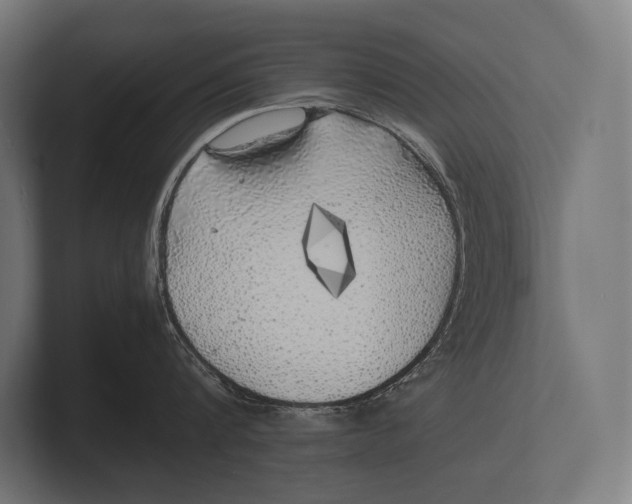 X0000100230816200806201442