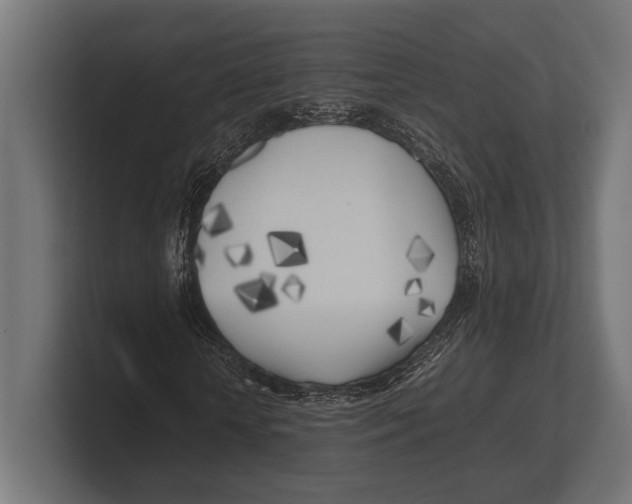 X0000100230818200806201442