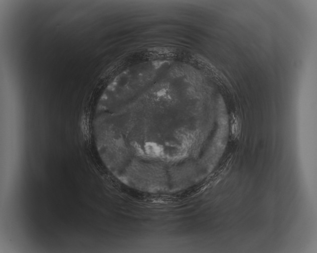 X0000100230819200806201442