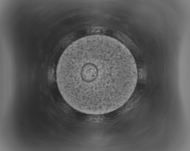 X0000100230820200806201442