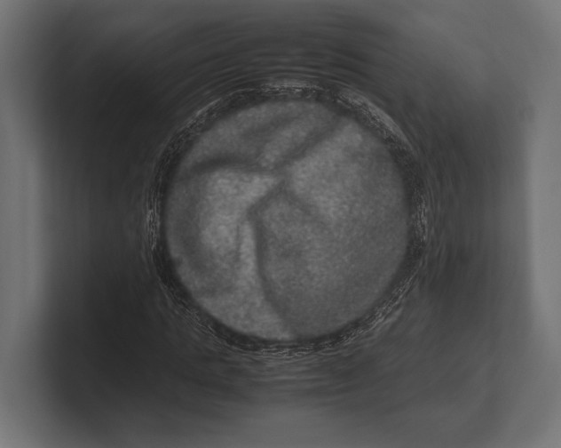 X0000100230821200806201442