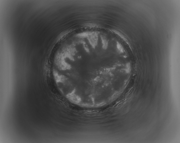 X0000100230823200806201442