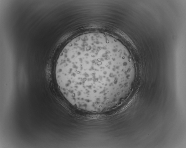 X0000100230826200806201442