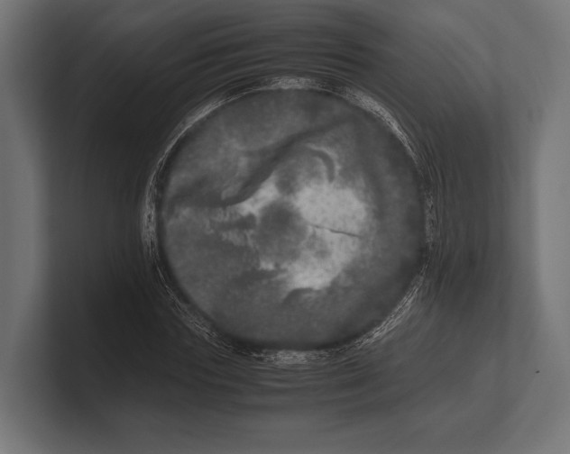 X0000100230827200806201442