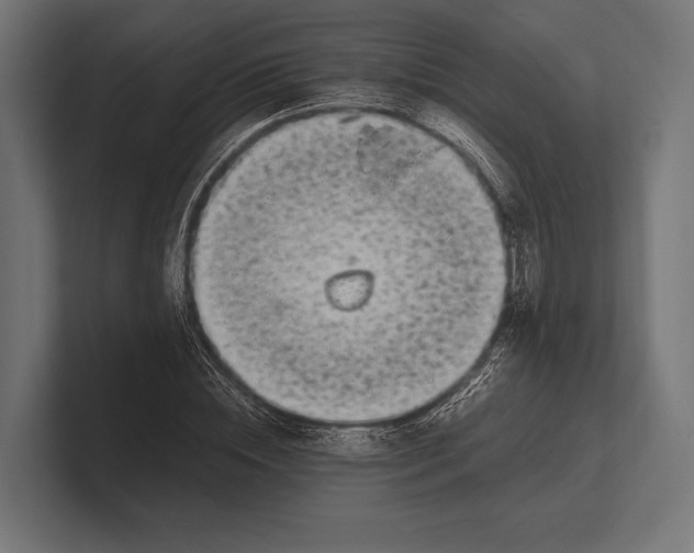 X0000100230828200806201442