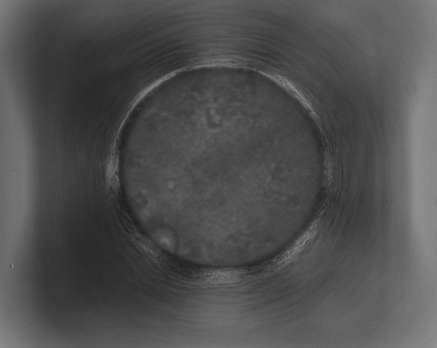 X0000100230830200806201442