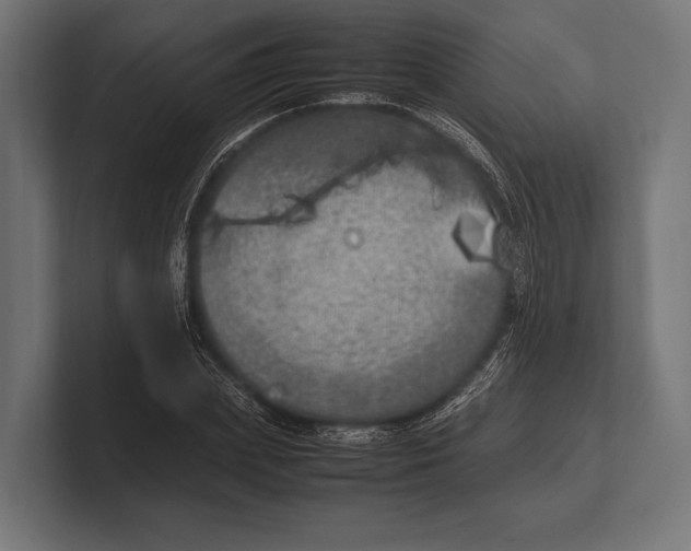 X0000100230831200806201442