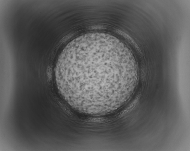 X0000100230833200806201442