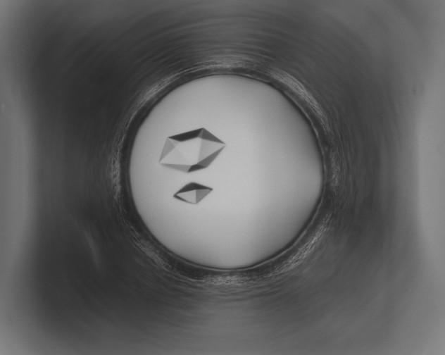 X0000100230834200806201442