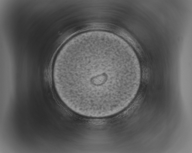 X0000100230836200806201442