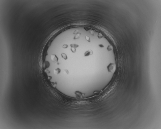 X0000100230837200806201442