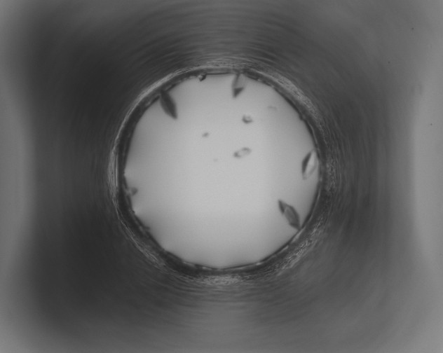 X0000100230838200806201442