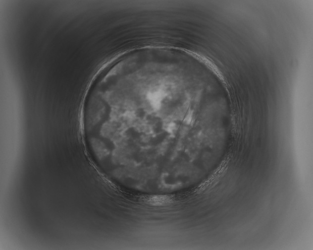 X0000100230839200806201442