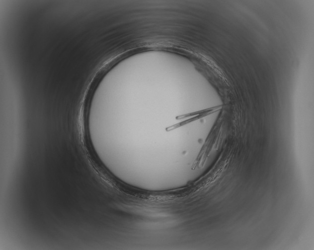 X0000100230840200806201442