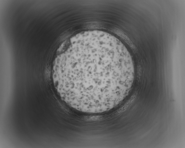 X0000100230841200806201442