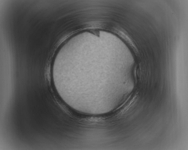 X0000100230842200806201442