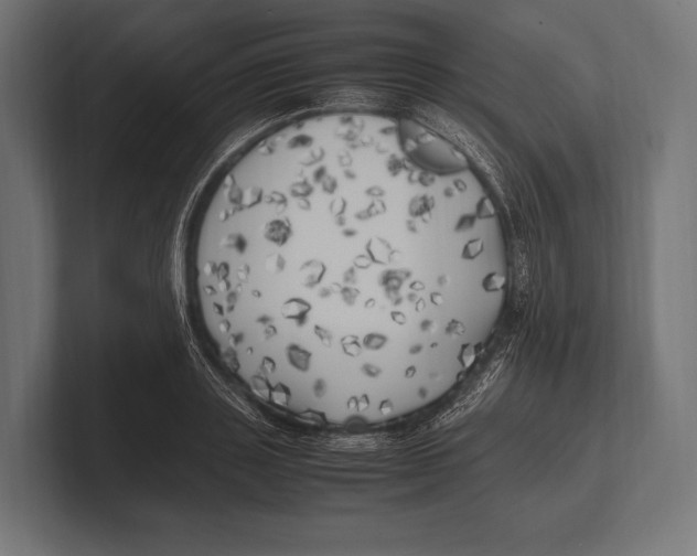 X0000100230843200806201442