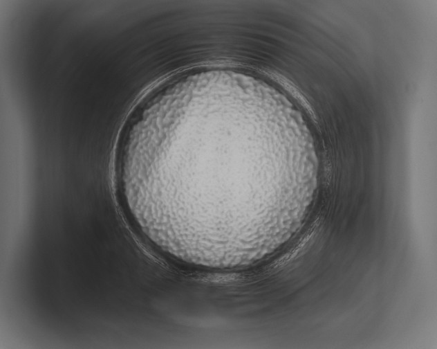 X0000100230845200806201442