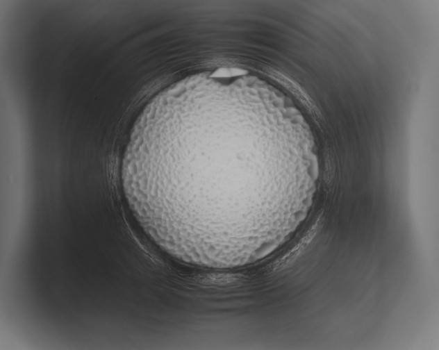 X0000100230849200806201442