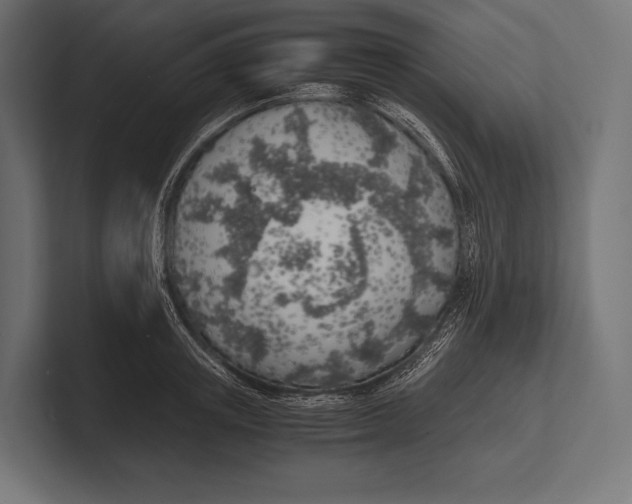 X0000100230851200806201442