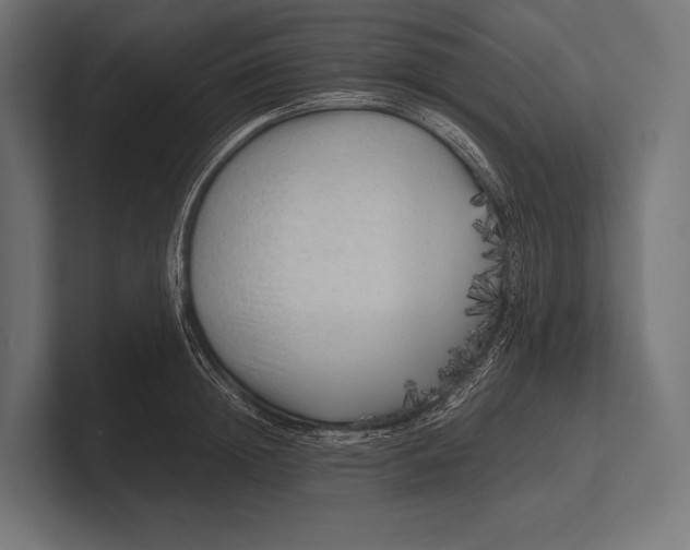 X0000100230852200806201442