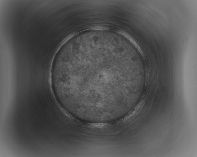 X0000100230853200806201442