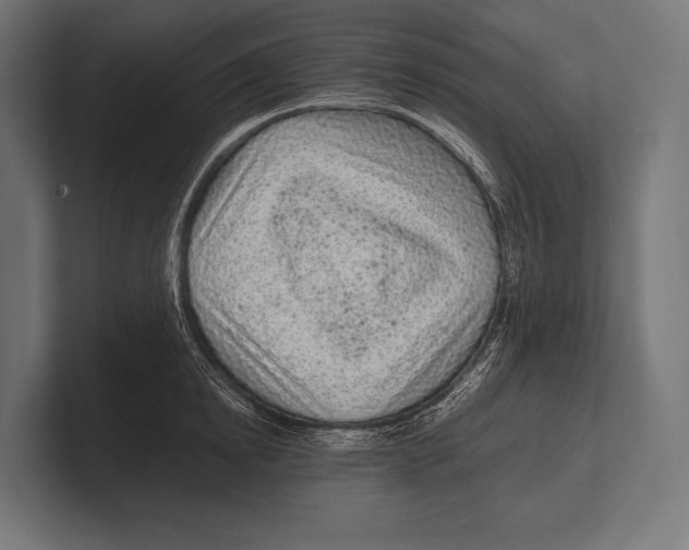 X0000100230854200806201442