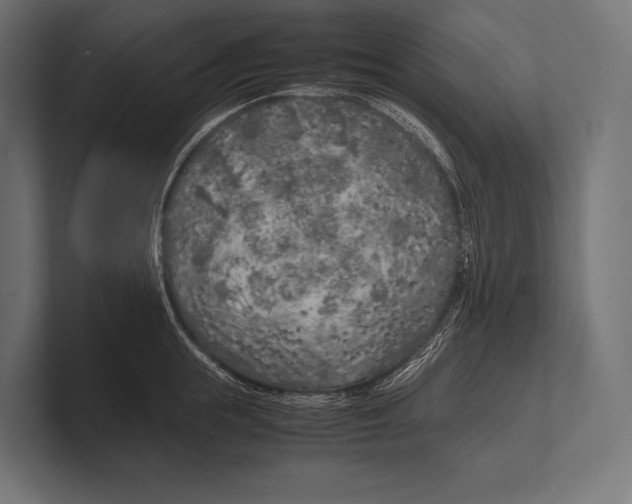 X0000100230855200806201442