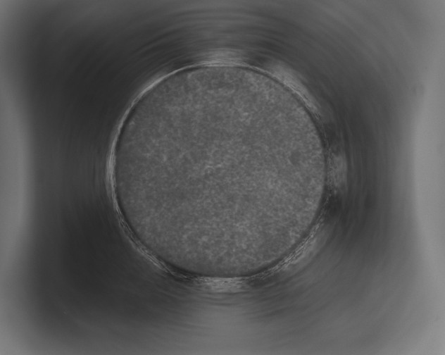 X0000100230856200806201442