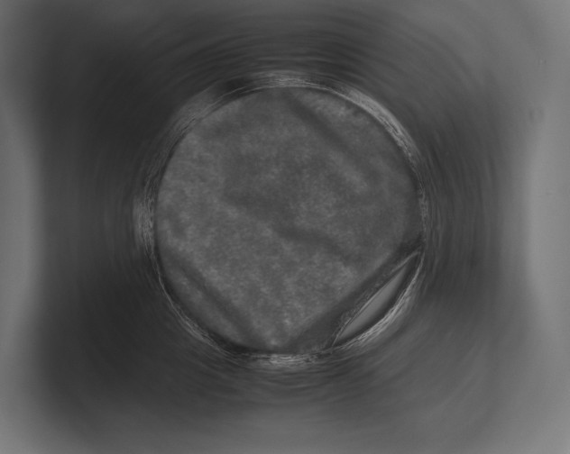 X0000100230857200806201442